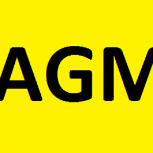 Merton FC AGM